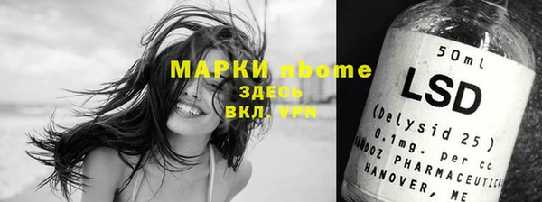 хмурый Нея