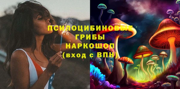 PSILOCYBIN Вяземский