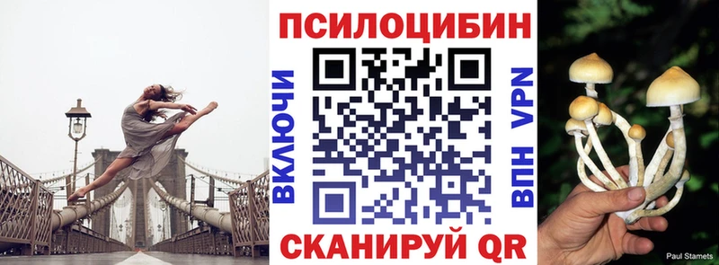 Галлюциногенные грибы прущие грибы  что такое наркотик  Камызяк 