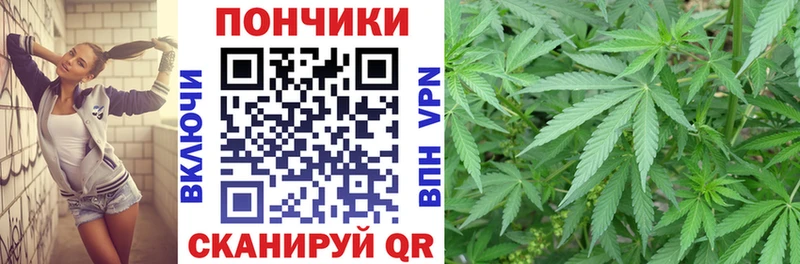 Канабис сатива  Камызяк 